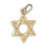 14k Yellow Gold Star of David Charm