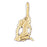 14k Yellow Gold Zodiac - Aquarius Charm