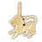 14k Yellow Gold Zodiac - Leo Charm