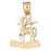 14k Yellow Gold Zodiac - Capricorn Charm