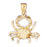 14k Yellow Gold Zodiac - Cancer Charm