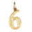 14k Yellow Gold Six, 6 Charm