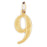 14k Yellow Gold Nine, 9 Charm