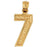 14k Yellow Gold Seven, 7 Charm