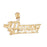 14k Yellow Gold Precious Sister Charm