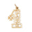 14k Yellow Gold #1 Sister Charm