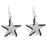 Sterling Silver Rhodium Plated with Black and White CZ Earrings