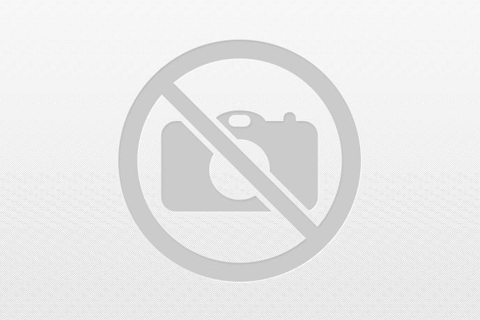 14k Yellow Gold Long Life Charm